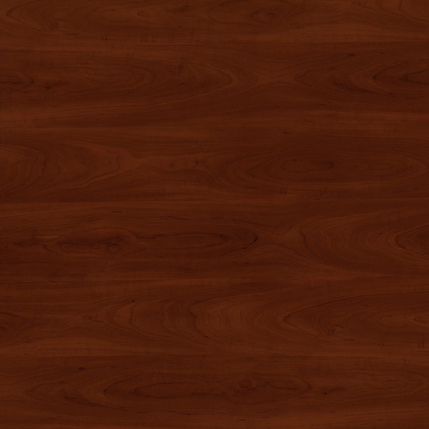 Armoire de rangement Fairview avec portes et étagères par Bush Furniture - 31,73 L x 12,76 l x 30,71 H