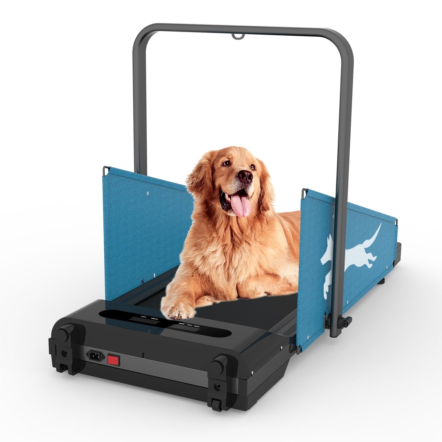 Tapis roulant pour chien avec affichage LED
